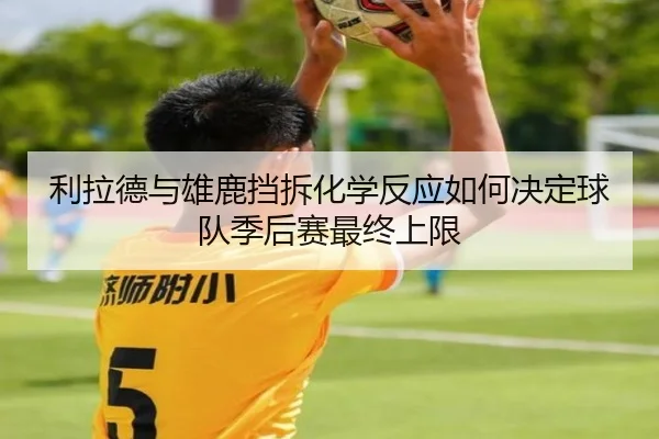 利拉德与雄鹿挡拆化学反应如何决定球队季后赛最终上限